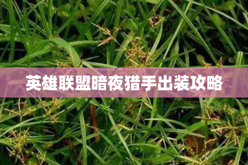 英雄联盟暗夜猎手出装攻略图片