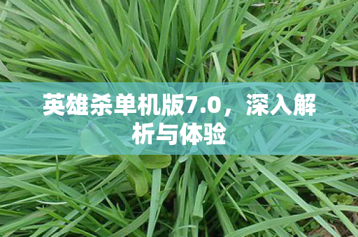 英雄杀单机版7图片