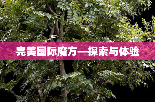 完美国际魔方图片