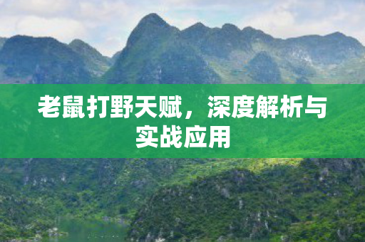 深度解析与实战应用图片
