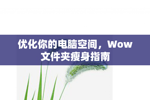 Wow文件夹瘦身指南图片