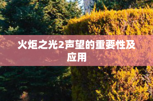 火炬之光2声望的重要性及应用图片