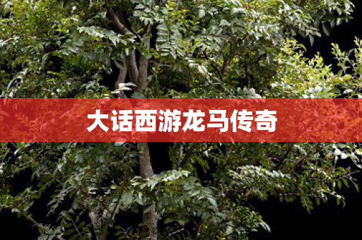 大话西游龙马传奇图片