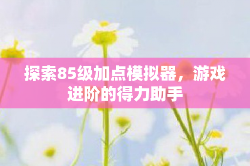 探索85级加点模拟器图片