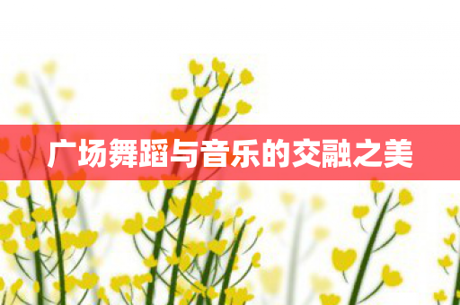 广场舞蹈与音乐的交融之美图片