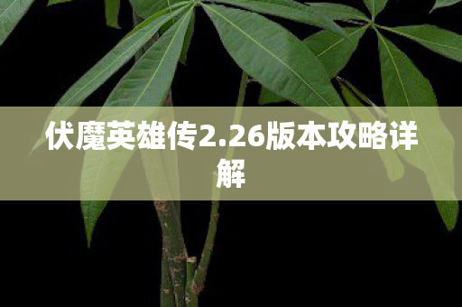 26版本攻略详解图片