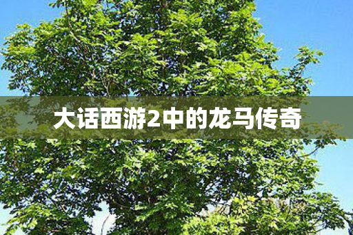 大话西游2中的龙马传奇图片