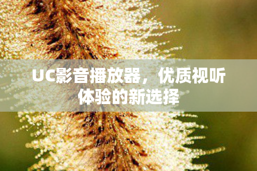 优质视听体验的新选择图片