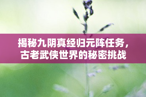 揭秘九阴真经归元阵任务图片