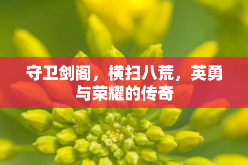 英勇与荣耀的传奇图片