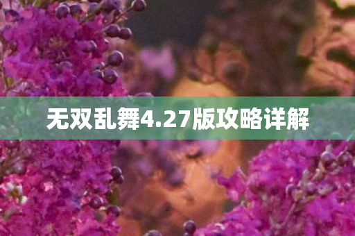 27版攻略详解图片