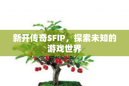 探索未知的游戏世界图片