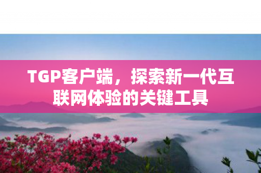 探索新一代互联网体验的关键工具图片