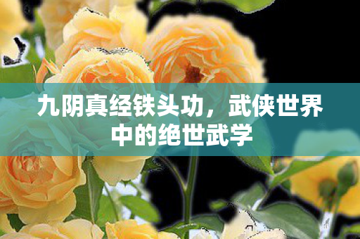 武侠世界中的绝世武学图片