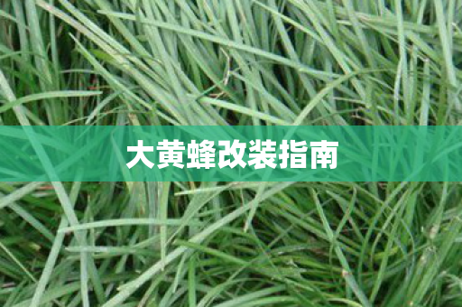 大黄蜂改装指南图片