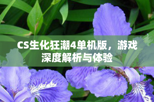 CS生化狂潮4单机版图片
