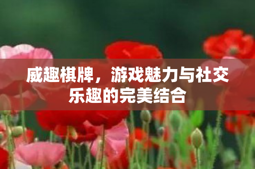 游戏魅力与社交乐趣的完美结合图片