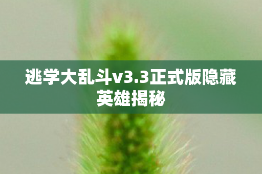 3正式版隐藏英雄揭秘图片