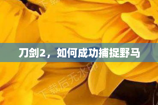 如何成功捕捉野马图片