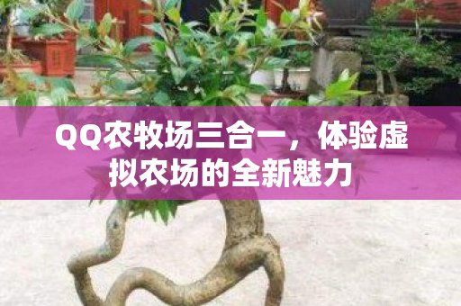 体验虚拟农场的全新魅力图片