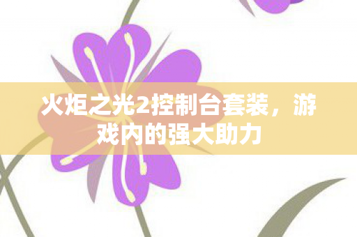 火炬之光2控制台套装图片