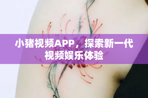 探索新一代视频娱乐体验图片