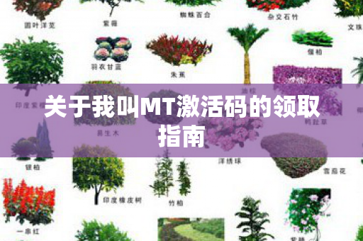 关于我叫MT激活码的领取指南图片