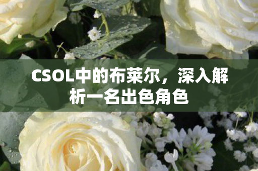 深入解析一名出色角色图片