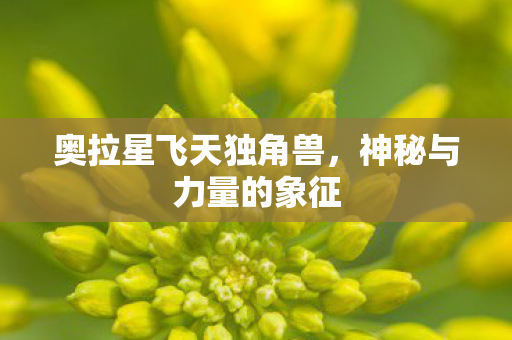 奥拉星飞天独角兽图片