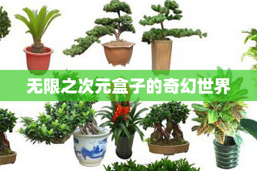 无限之次元盒子的奇幻世界图片