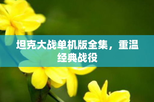坦克大战单机版全集图片