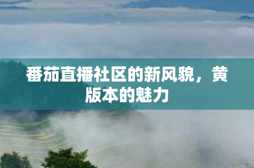 番茄直播社区的新风貌图片