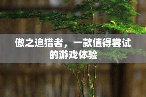 一款值得尝试的游戏体验图片