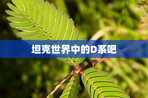 坦克世界中的D系吧图片