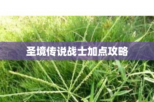 圣境传说战士加点攻略图片