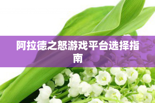 阿拉德之怒游戏平台选择指南图片