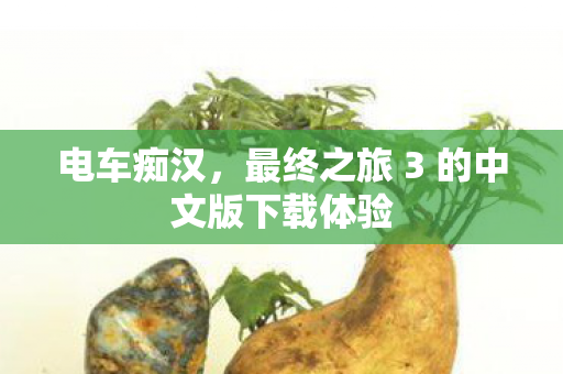 最终之旅 3 的中文版下载体验图片