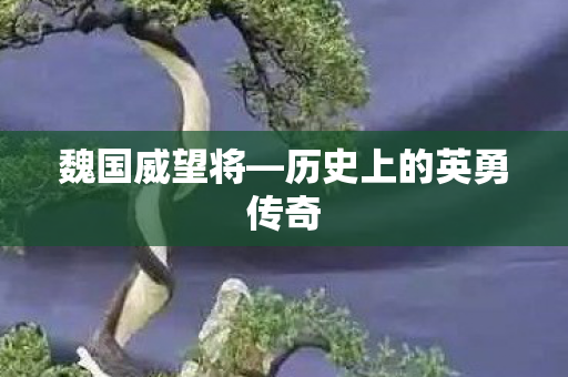 历史上的英勇传奇图片