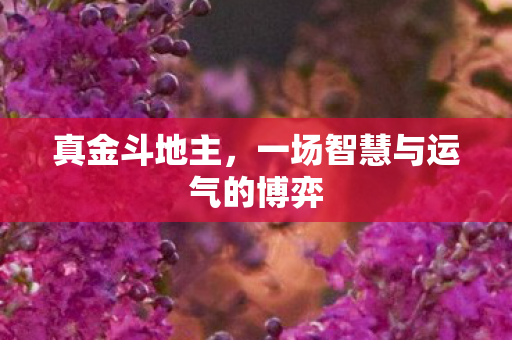 一场智慧与运气的博弈图片
