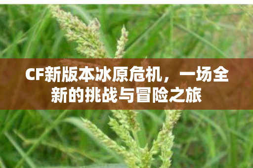 一场全新的挑战与冒险之旅图片