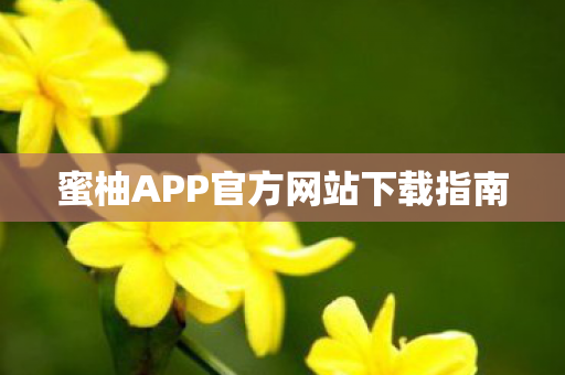 蜜柚APP官方网站下载指南图片