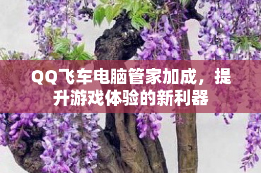 QQ飞车电脑管家加成图片