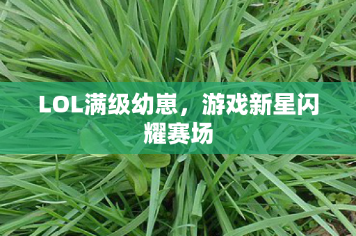 游戏新星闪耀赛场图片