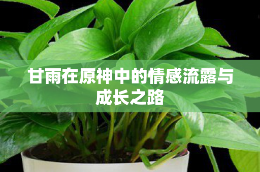 甘雨在原神中的情感流露与成长之路图片