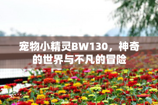 神奇的世界与不凡的冒险图片