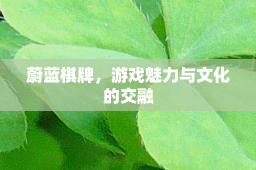 游戏魅力与文化的交融图片