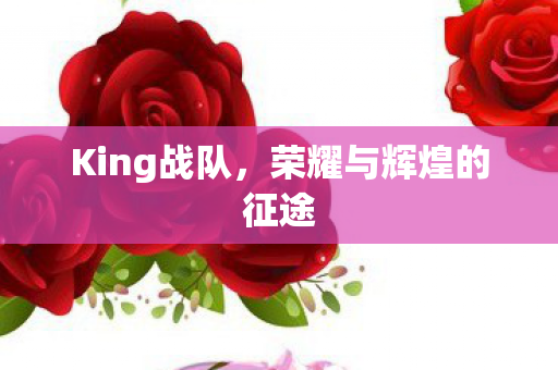 荣耀与辉煌的征途图片