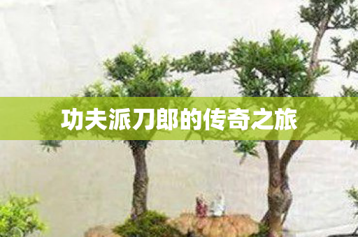 功夫派刀郎的传奇之旅图片