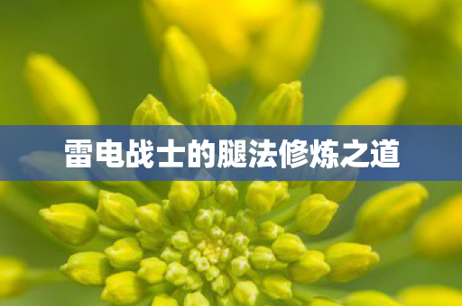 雷电战士的腿法修炼之道图片