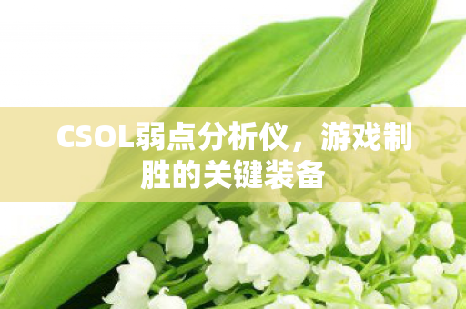 CSOL弱点分析仪图片